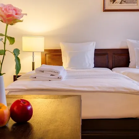 Hotel Schloss Purschenstein 4*