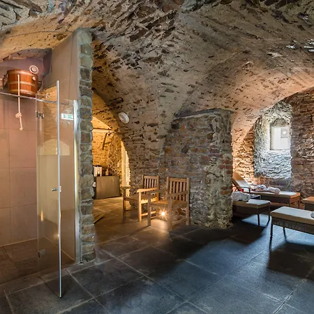 Schloss Purschenstein Отель 4*