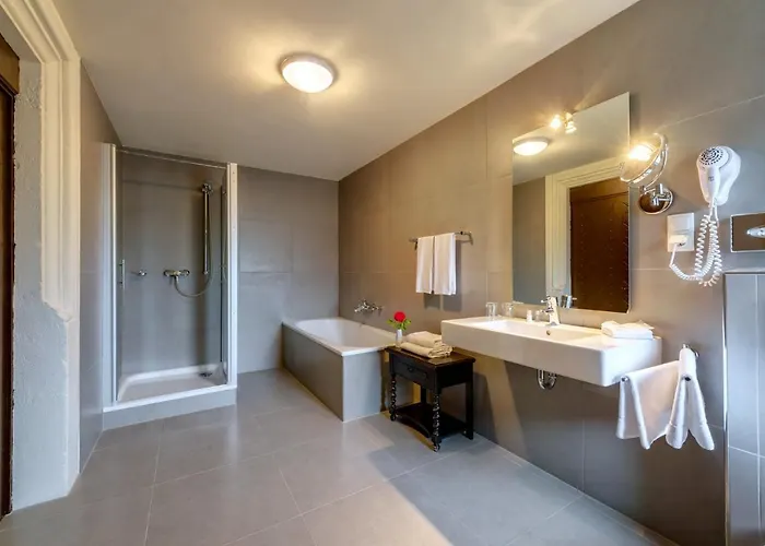 Schloss Purschenstein فندق 4*