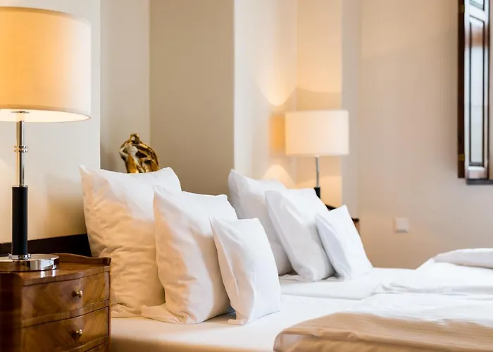 فندق Schloss Purschenstein نيوهاوسين