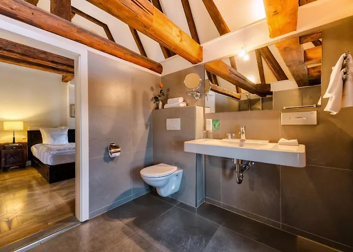 فندق Schloss Purschenstein نيوهاوسين