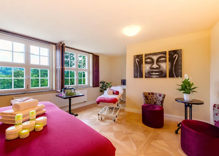 فندق Schloss Purschenstein