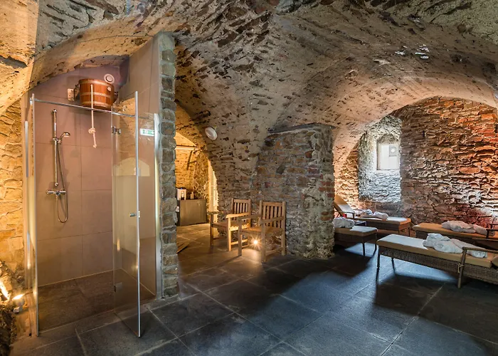 Schloss Purschenstein فندق 4*